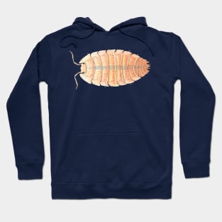 Porcellio scaber "Orange Embers" Isopod Hoodie